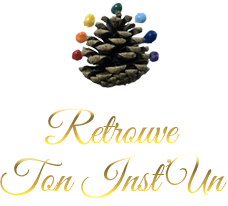 Logo Léonie DEVIS - Retrouve Ton Inst'Un