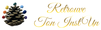 Logo Léonie DEVIS - Retrouve Ton Inst'Un