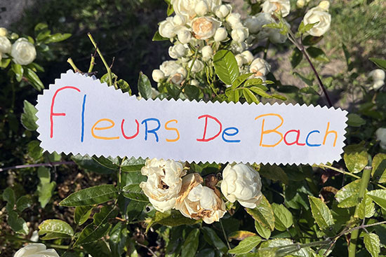  - Léonie DEVIS - Retrouve Ton Inst'Un